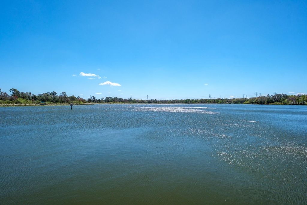 Image 65 of property listing at 2860 LONGLEAF LANE, Palm Harbor, FL 34684