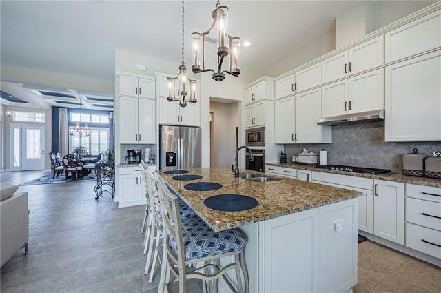 4206 TOUR TRACE, Land O Lakes, FL 34638