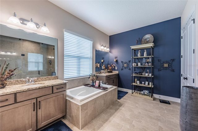 4206 TOUR TRACE, Land O Lakes, FL 34638