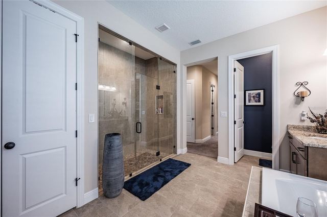 4206 TOUR TRACE, Land O Lakes, FL 34638