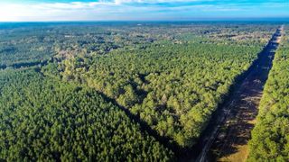 28 Acres Porter Hudson Rd., Sumrall, MS 39482