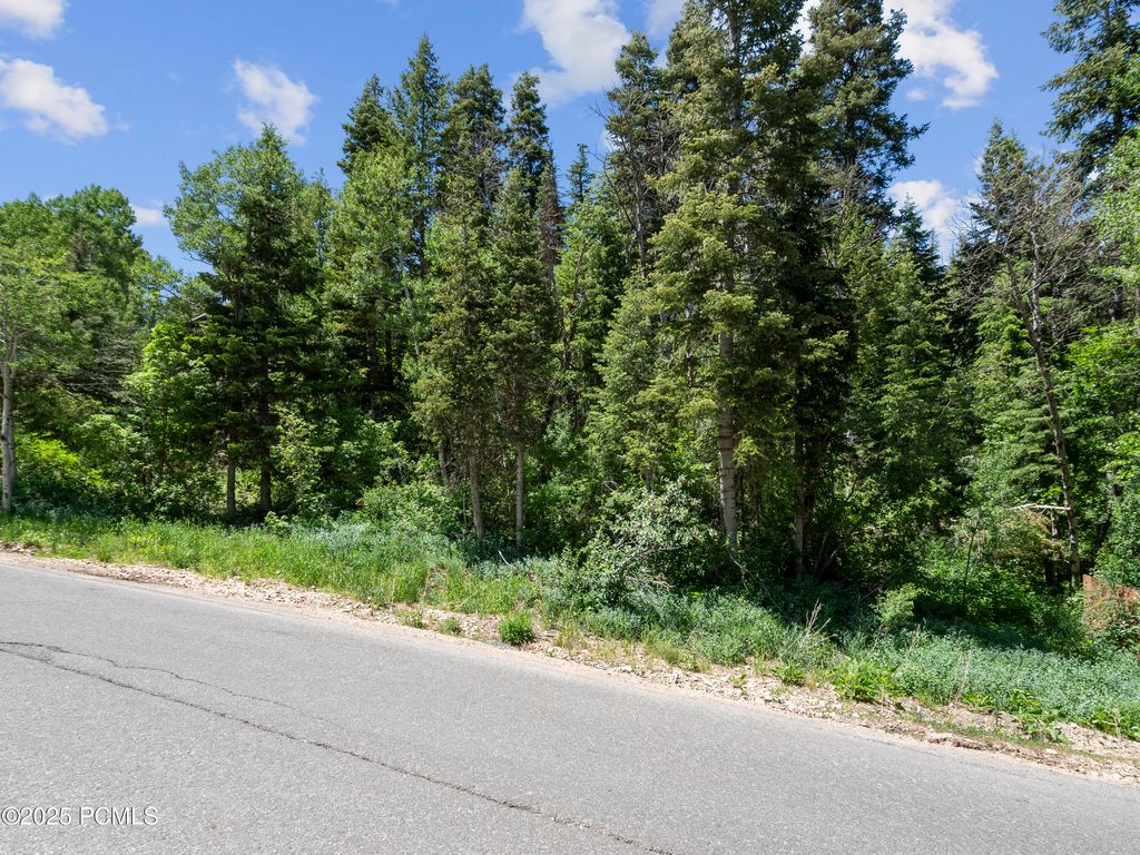 730 Parkview Drive, Park City, UT 84098