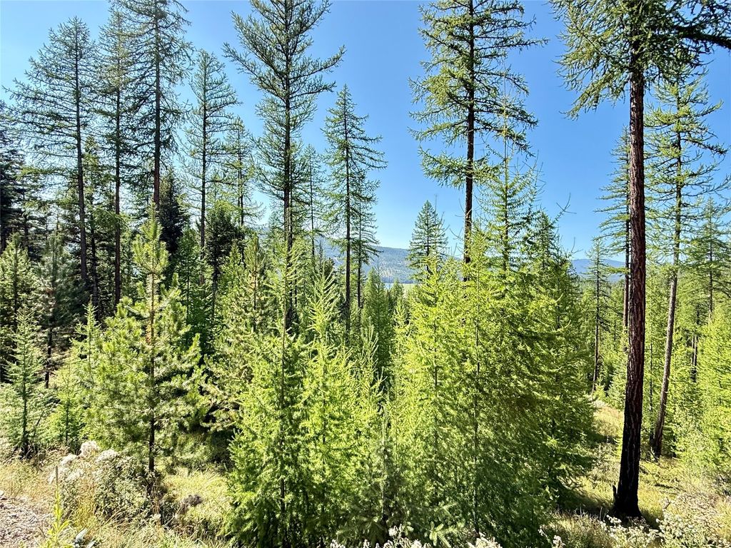 240 Hodge Creek Drive, Kila, MT 59920 photo 69