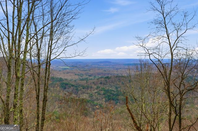 1220 Walnut Ridge, Ellijay, GA 30536