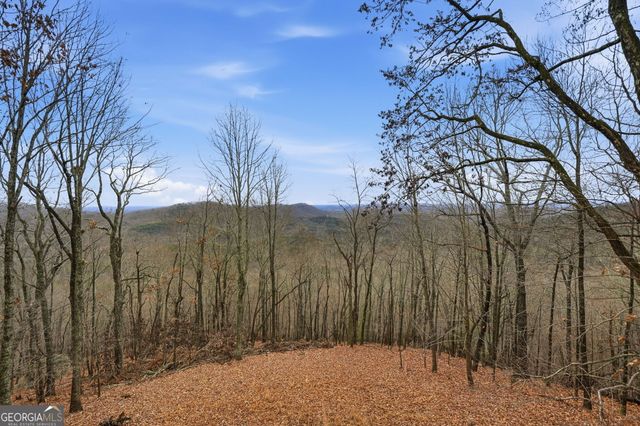 1220 Walnut Ridge, Ellijay, GA 30536