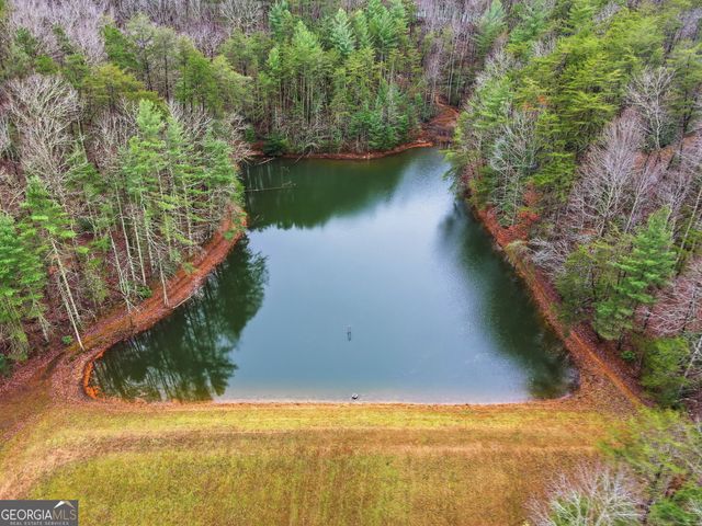 1220 Walnut Ridge, Ellijay, GA 30536