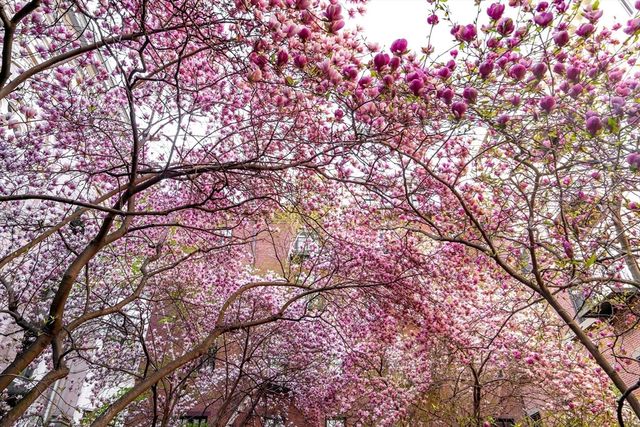 21 Father Francis Gilday 110, Boston, MA 02118