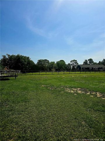9109 Chickenfoot Road, Saint Pauls, NC 28384