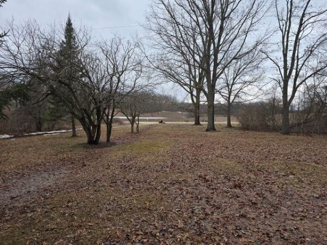 7628 N Latson Road, Deerfield Twp, MI 48855