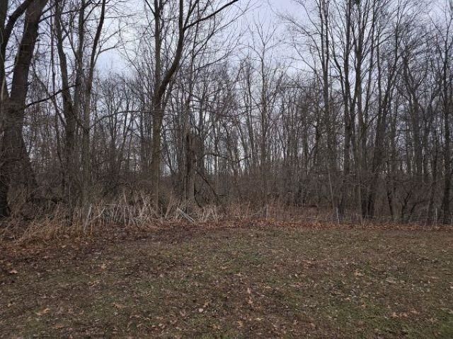 7628 N Latson Road, Deerfield Twp, MI 48855