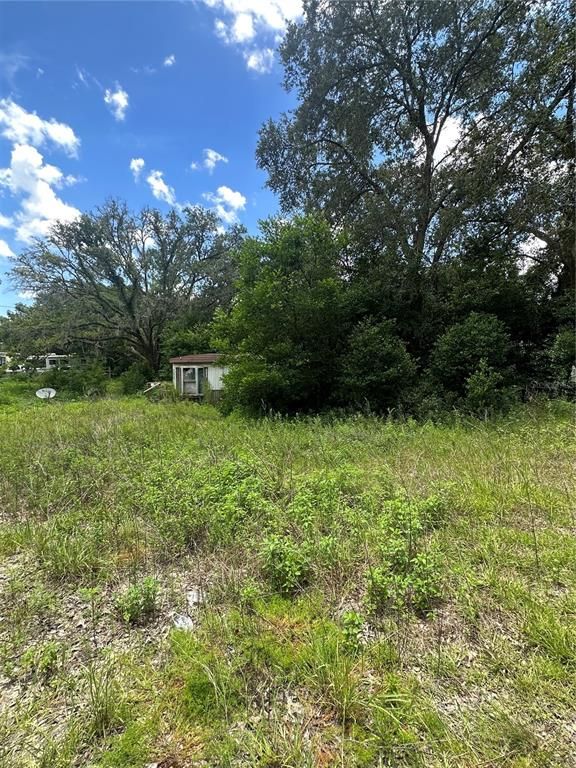 15950 NE 4TH PLACE, Williston, FL 32696
