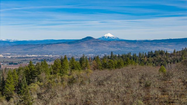 80 Placer Hill Drive, Jacksonville, OR 97530