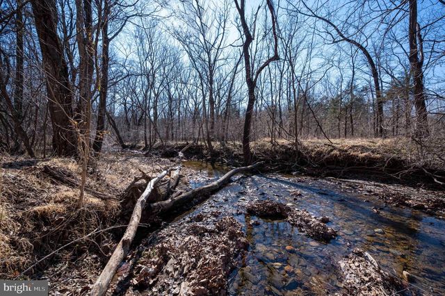 1778 T BIRD DR, Front Royal, VA 22630