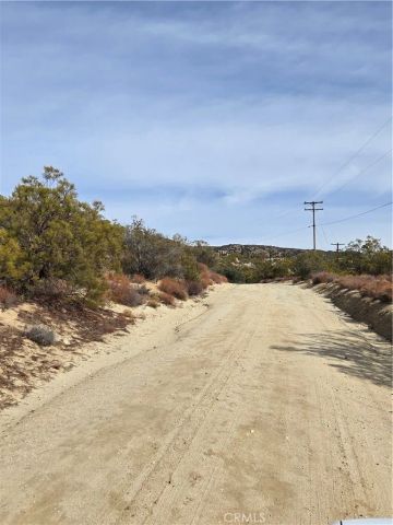 61400 Indian Paint Brush, Anza, CA 92539