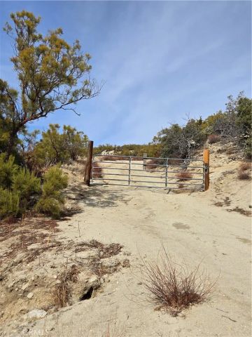 61400 Indian Paint Brush, Anza, CA 92539