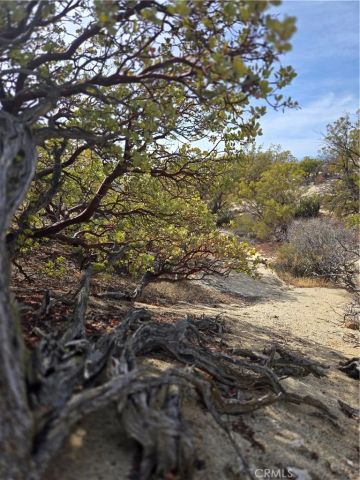 61400 Indian Paint Brush, Anza, CA 92539