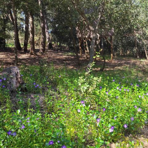 4470 Pine Ridge Avenue, Julian, CA 92036