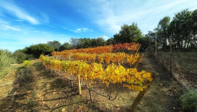 17035 Bohlman Road, Saratoga, CA 95070