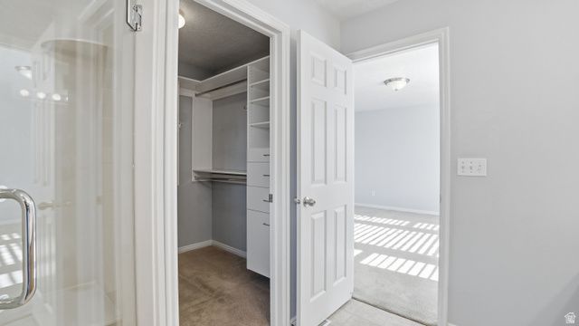 1591 W RENAISSANCE WAY, Springville, UT 84663