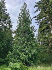 3202 Cliff Street, Port Townsend, WA 98368