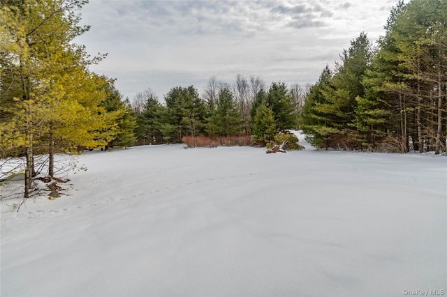 58 Dunn Town Road, Wurtsboro, NY 12790