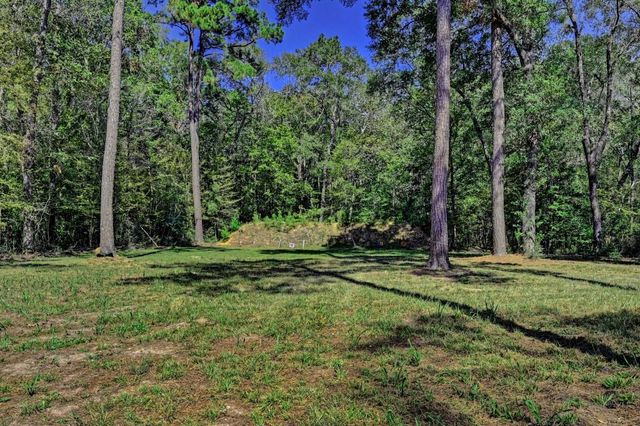 TBD Bryan Lane, Willis, TX 77378