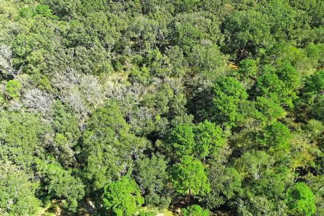 TBD Bryan Lane, Willis, TX 77378