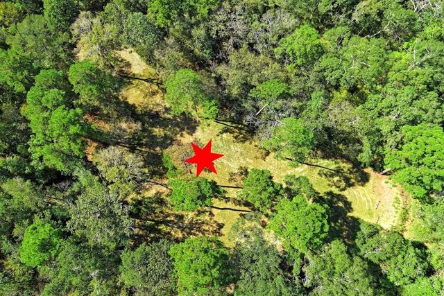 TBD Bryan Lane, Willis, TX 77378