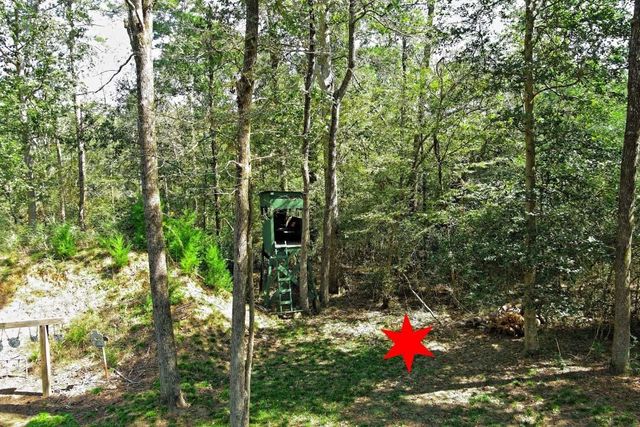 TBD Bryan Lane, Willis, TX 77378