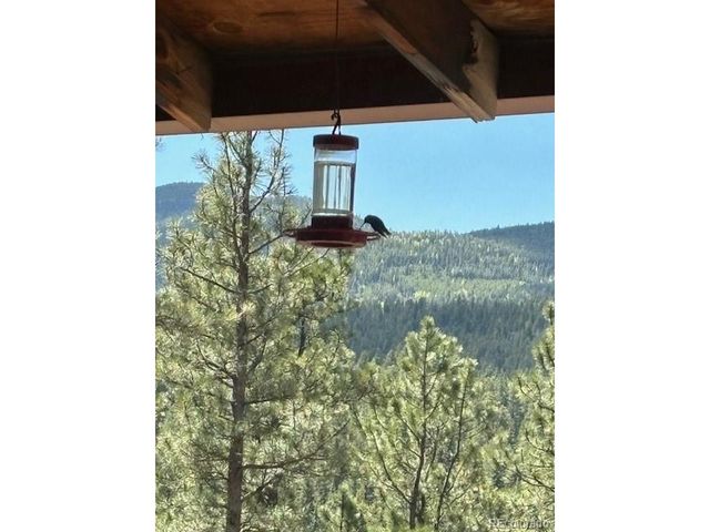 34 Normandy Rd, Evergreen, CO 80439