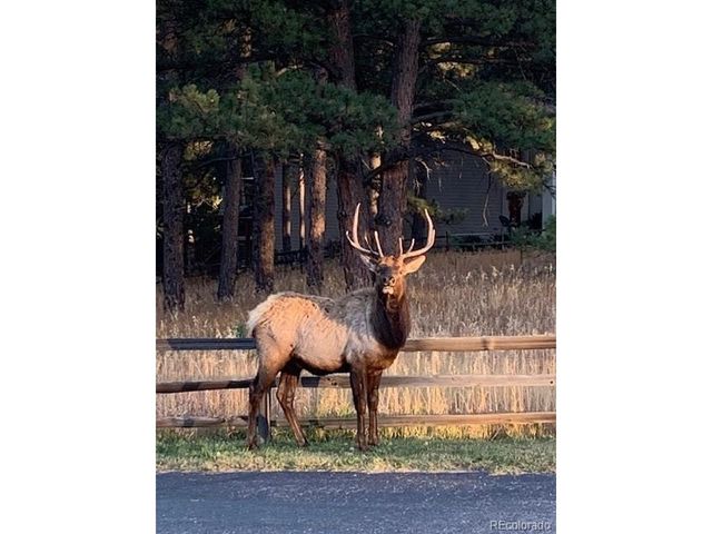 34 Normandy Rd, Evergreen, CO 80439