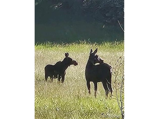 34 Normandy Rd, Evergreen, CO 80439