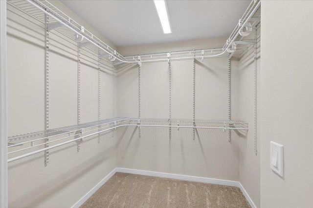 2809 Crinkle Root Drive, Fitchburg, WI 53711