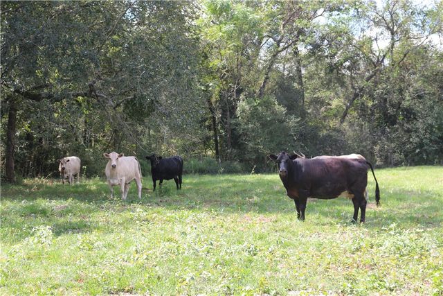 TBD Derby Lane, Madisonville, TX 77864