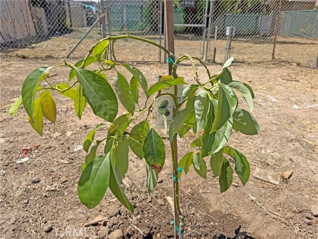 810 Pine, Corona, CA 92879