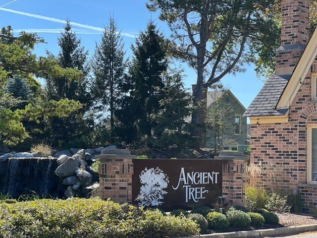 3 The Court Of Harborside Court 208, Northbrook, IL 60062