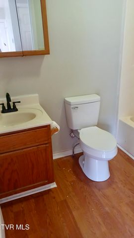 144 Kitty Cole Lane, Dungannon, VA 24245