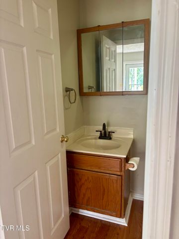 144 Kitty Cole Lane, Dungannon, VA 24245