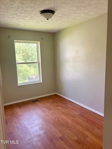 144 Kitty Cole Lane, Dungannon, VA 24245