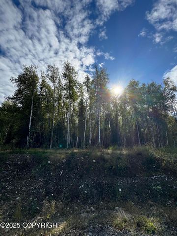 3361 N Carrillo Circle, Wasilla, AK 99623