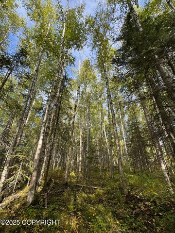 3361 N Carrillo Circle, Wasilla, AK 99623