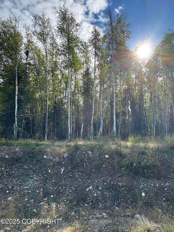 3361 N Carrillo Circle, Wasilla, AK 99623