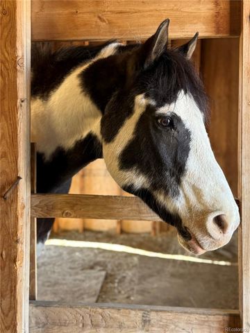 12540 W 86th Avenue, Arvada, CO 80005