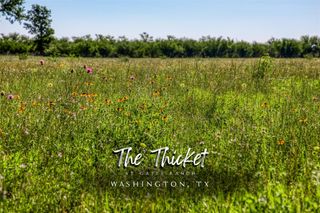 00000 Flat Prairie Road, Washington, TX 77880