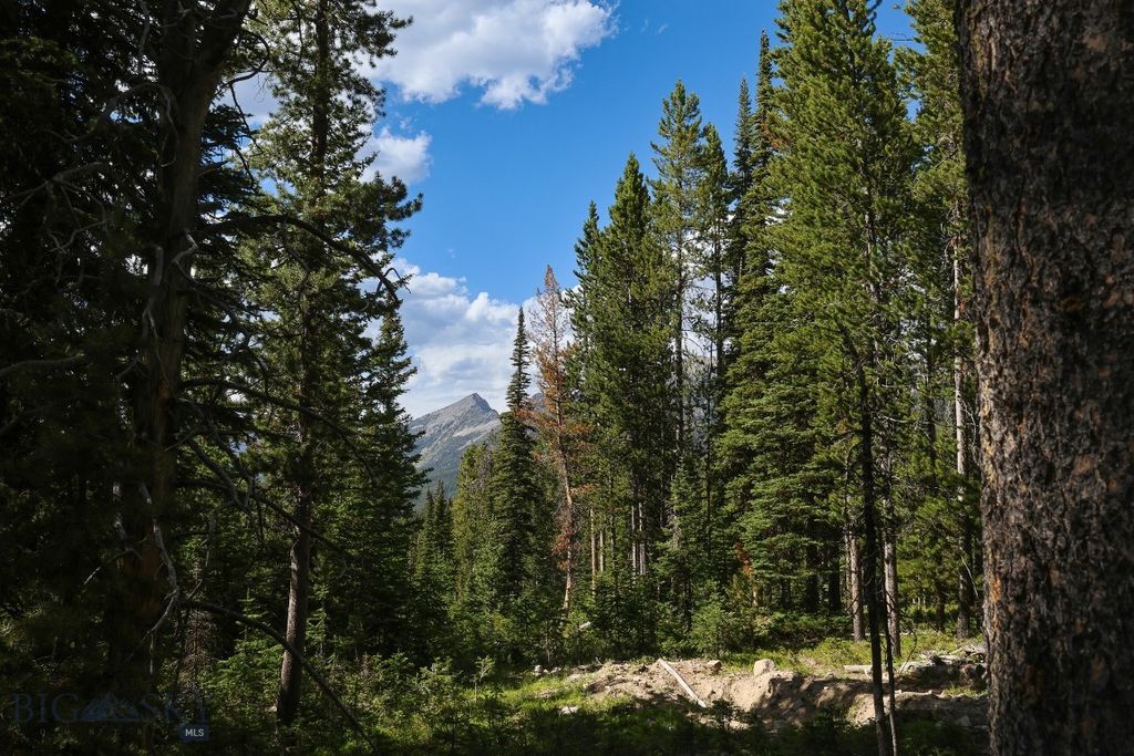 TBD Beehive Basin Road, Big Sky, MT 59716 photo 3