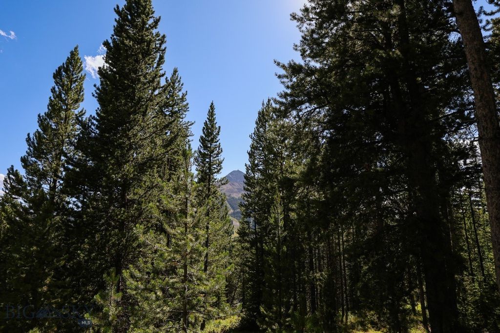 TBD Beehive Basin Road, Big Sky, MT 59716 photo 4