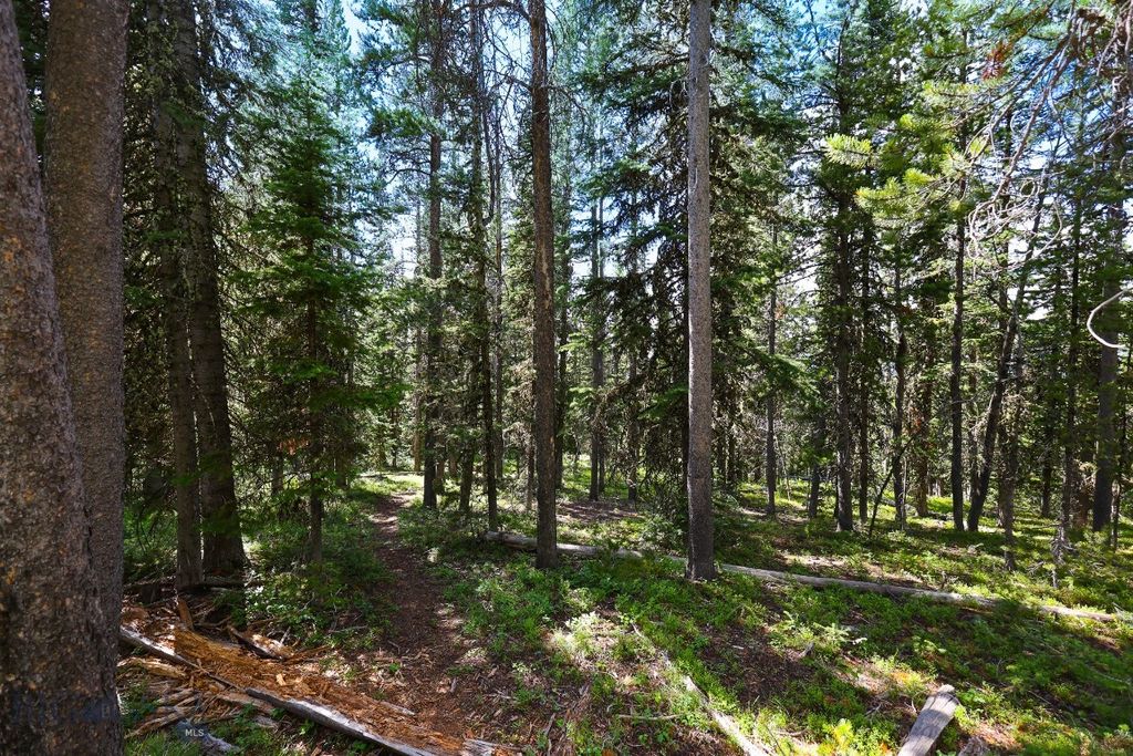 TBD Beehive Basin Road, Big Sky, MT 59716 photo 6