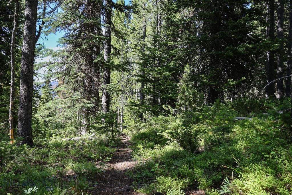TBD Beehive Basin Road, Big Sky, MT 59716 photo 7