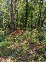 0 Hwy 411S, Chatsworth, GA 30705