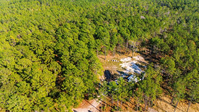 0313 King Ranch Road South, Onalaska, TX 77360